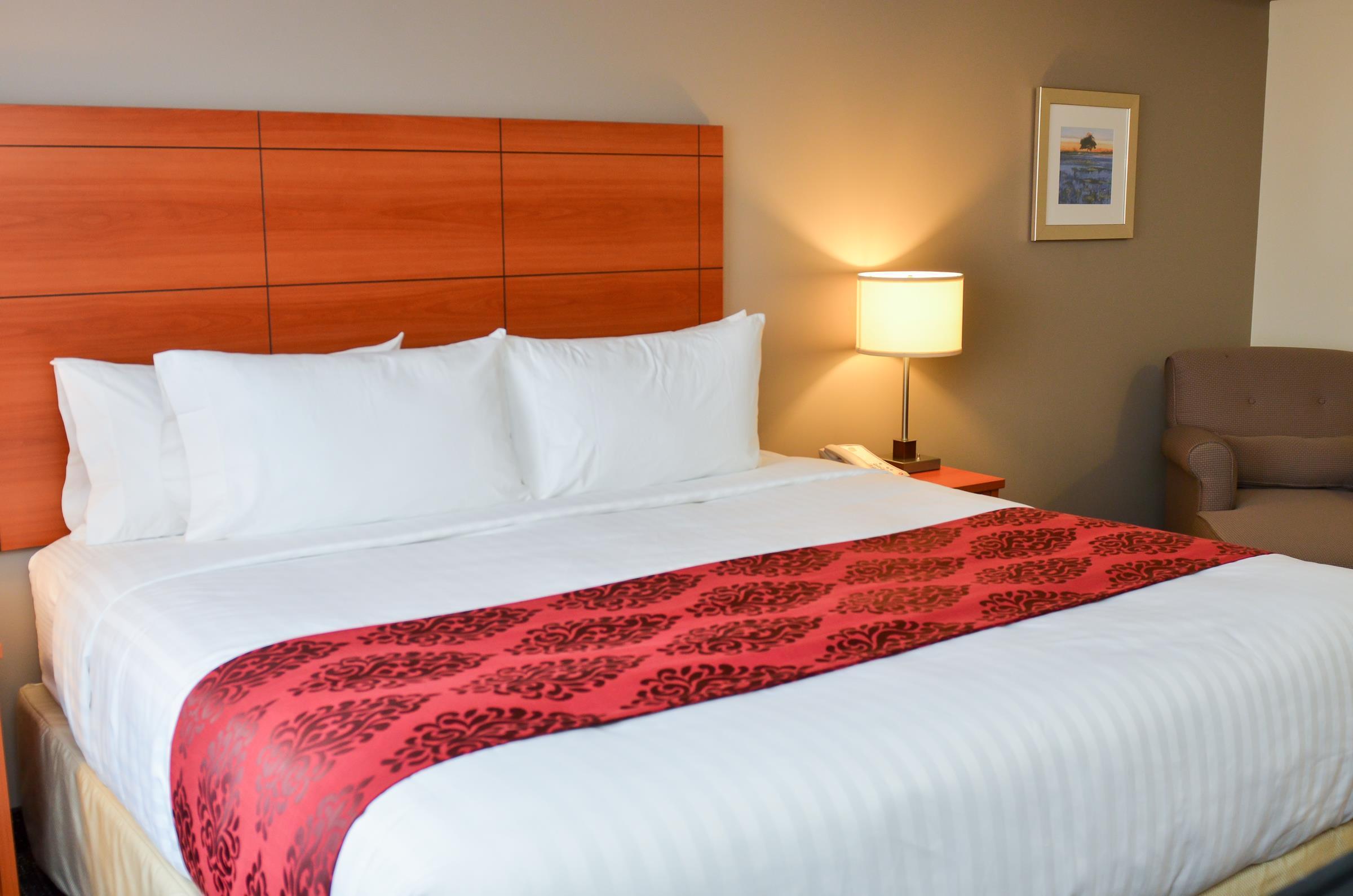 Best Western Thompson Room photo
